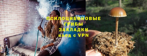 хмурый Алзамай
