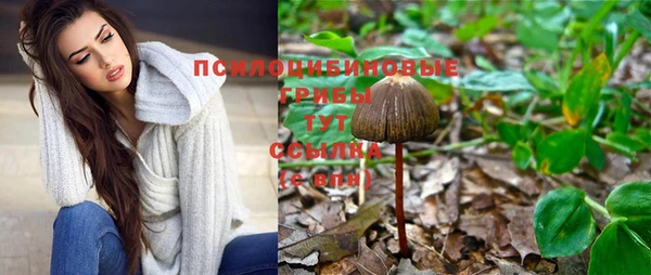 прущая мука Алексин