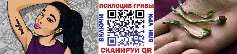 купить  цена  Анадырь  Псилоцибиновые грибы Cubensis 